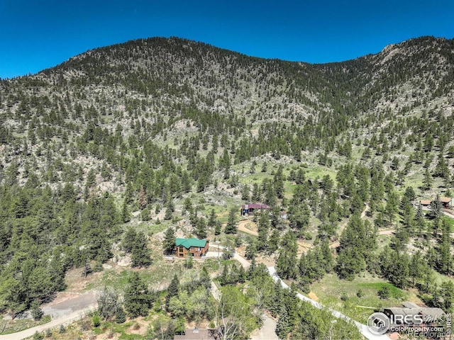 178 Cree Ct, Lyons, CO 80540 - mountain view featuring a heavily wooded area