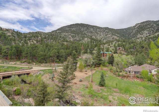 178 Cree Ct, Lyons, CO 80540 - view of mountain backdrop with a forest