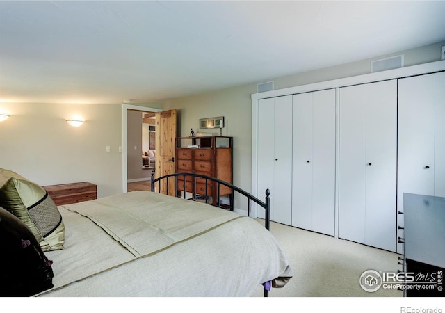 9445 Lykins Pl, Boulder, CO 80301 - bedroom with two closets and carpet floors