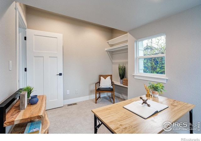 217 Locust St, Windsor, CO 80550 - carpeted office space featuring baseboards