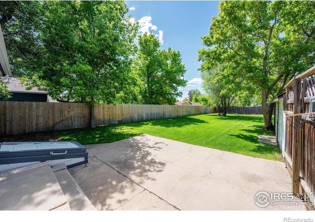 217 Locust St, Windsor, CO 80550 - view of patio