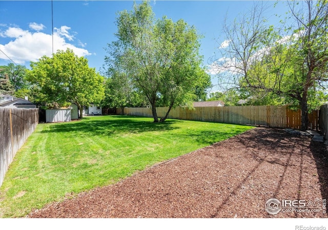 217 Locust St, Windsor, CO 80550 - view of yard