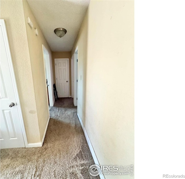 2614 Willard Dr, Colorado Springs, CO 80911 - hallway with carpet floors, baseboards, and a textured ceiling
