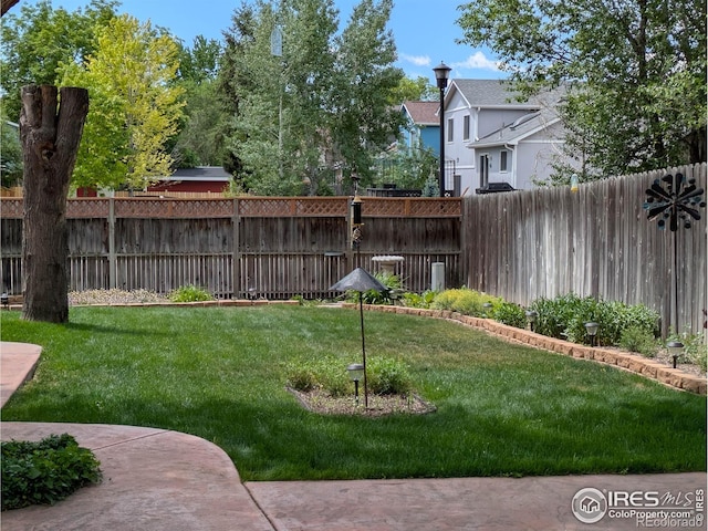 1545 S Vivian St, Longmont, CO 80501 - view of yard