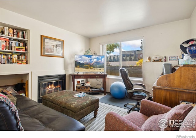 3465 Lochwood Dr Unit N62, Fort Collins, CO 80525 - office featuring a glass covered fireplace, carpet, and built in shelves