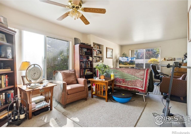3465 Lochwood Dr Unit N62, Fort Collins, CO 80525 - carpeted home office with ceiling fan