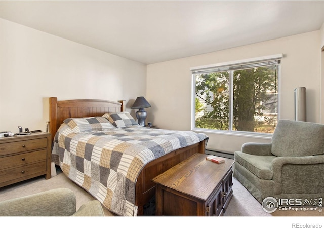 3465 Lochwood Dr Unit N62, Fort Collins, CO 80525 - bedroom with baseboard heating and light colored carpet