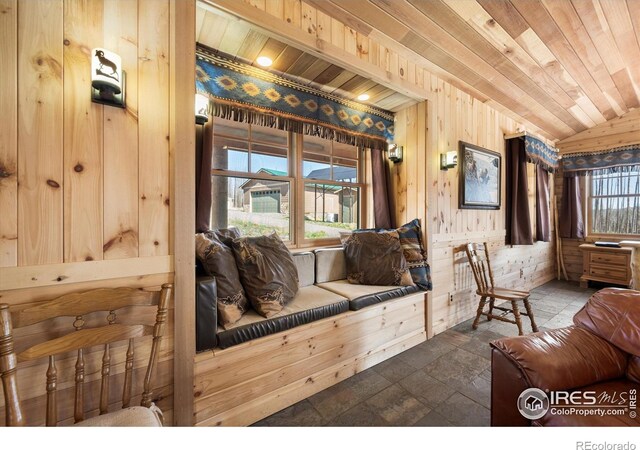 777 Powder Horn Trl, Bellvue, CO 80512 - photo 10
