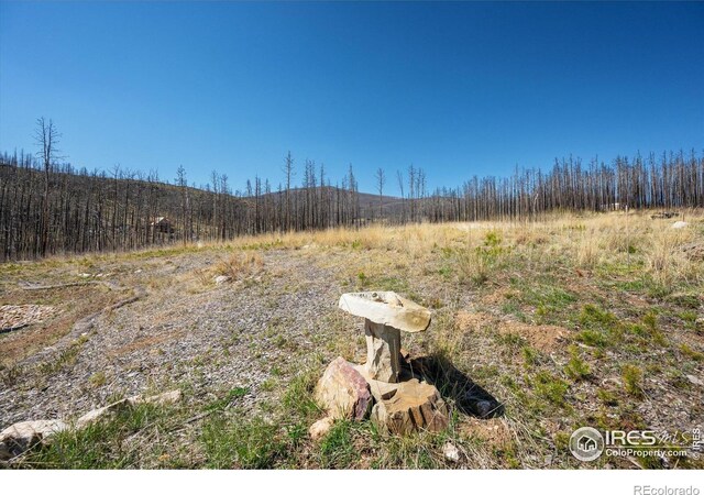 777 Powder Horn Trl, Bellvue, CO 80512 - photo 23