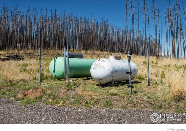 777 Powder Horn Trl, Bellvue, CO 80512 - photo 30