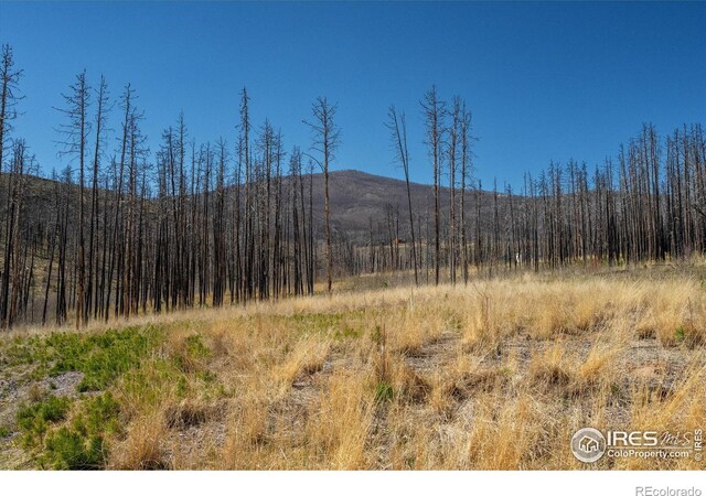 777 Powder Horn Trl, Bellvue, CO 80512 - photo 31