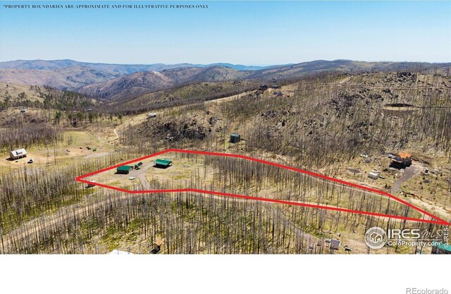 777 Powder Horn Trl, Bellvue, CO 80512 - photo 37