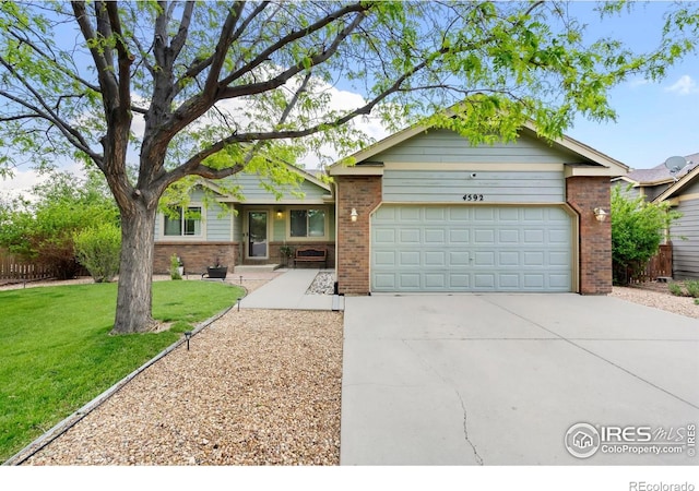 4592 Hayler Ave, Loveland, CO 80538 - photo 2