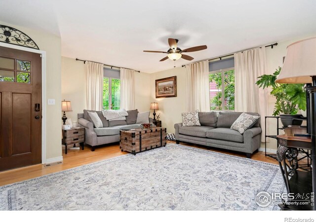 4592 Hayler Ave, Loveland, CO 80538 - photo 4