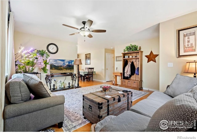 4592 Hayler Ave, Loveland, CO 80538 - photo 5