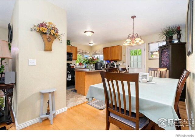 4592 Hayler Ave, Loveland, CO 80538 - photo 6