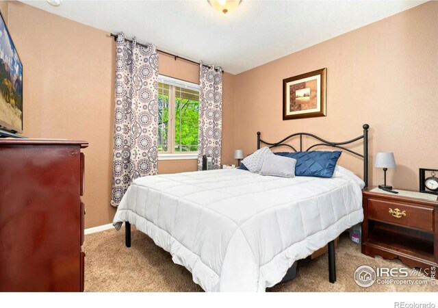 4592 Hayler Ave, Loveland, CO 80538 - photo 14