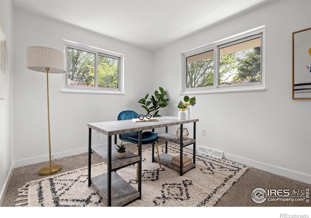 5329 Flower Cir, Arvada, CO 80002 - home office with plenty of natural light, baseboards, and carpet flooring