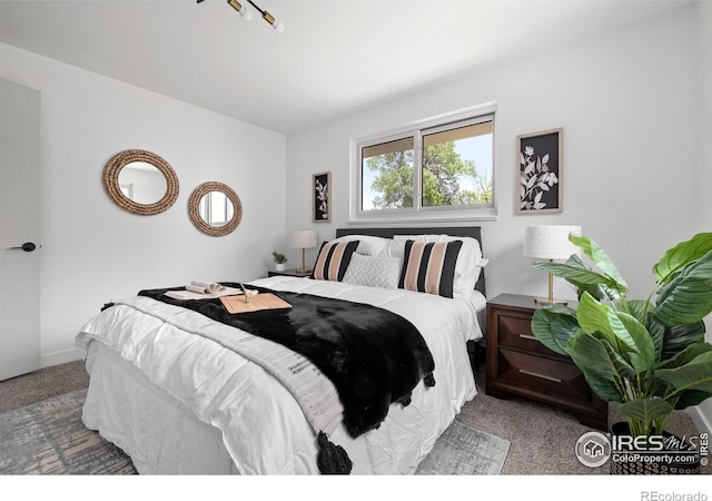5329 Flower Cir, Arvada, CO 80002 - bedroom with carpet floors