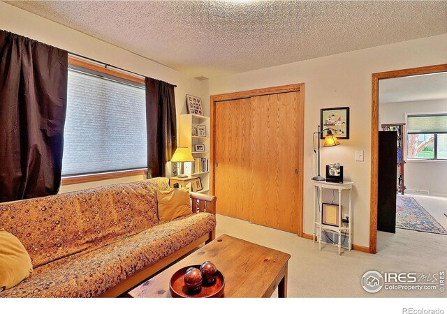 1754 Glen Meadows Dr, Greeley, CO 80631 - photo 30