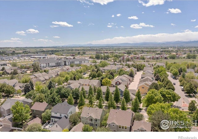 1983 Piney River Dr, Loveland, CO 80538 - photo 2