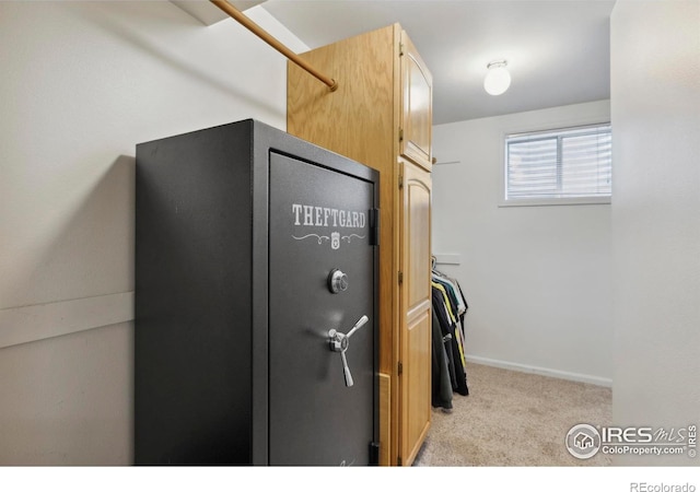 2501 Leghorn Dr, Fort Collins, CO 80526 - photo 20