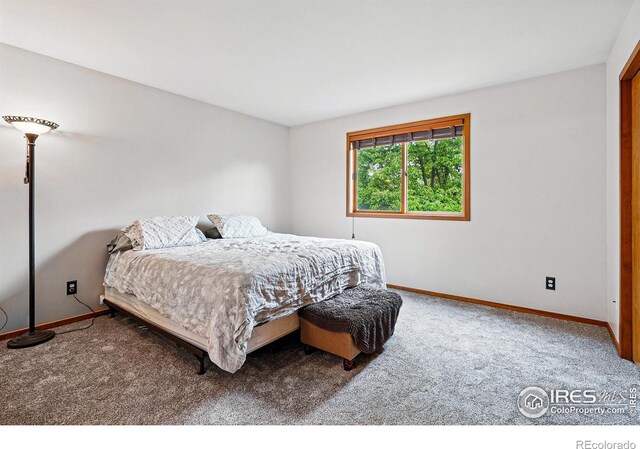4489 Wellington Rd, Boulder, CO 80301 - carpeted bedroom featuring baseboards