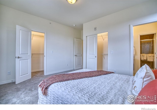 1240 Wren Ct Unit B, Longmont, CO 80501 - carpeted bedroom featuring a spacious closet, a closet, connected bathroom, and baseboards