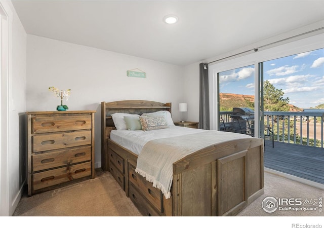 4406 Kano Dr, Fort Collins, CO 80526 - photo 10