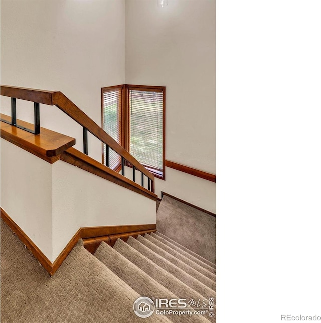 4570 Macarthur Dr, Boulder, CO 80303 - stairs with carpet floors and baseboards