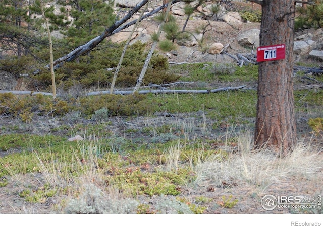 711 Osage Trl, Red Feather Lakes, CO 80545