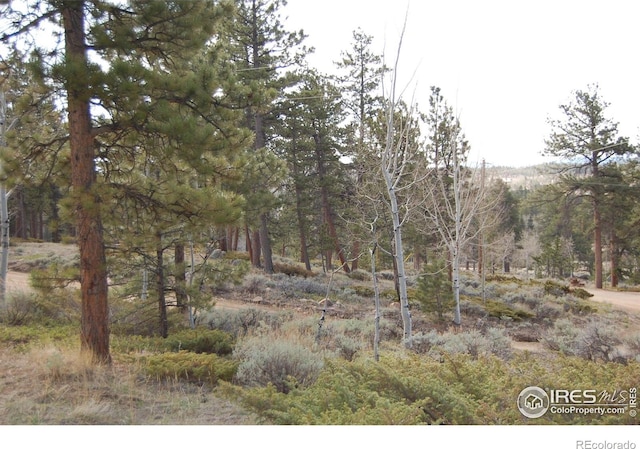 711 Osage Trl, Red Feather Lakes, CO 80545