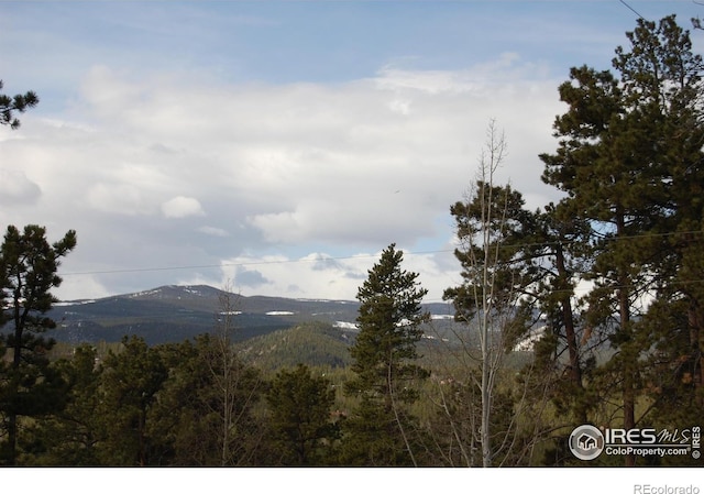 711 Osage Trl, Red Feather Lakes, CO 80545
