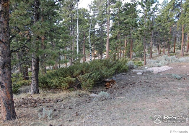 711 Osage Trl, Red Feather Lakes, CO 80545