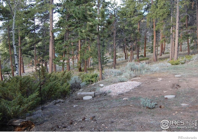 711 Osage Trl, Red Feather Lakes, CO 80545