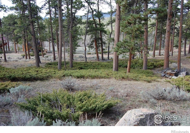 711 Osage Trl, Red Feather Lakes, CO 80545
