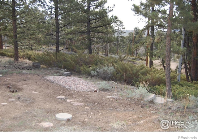 711 Osage Trl, Red Feather Lakes, CO 80545
