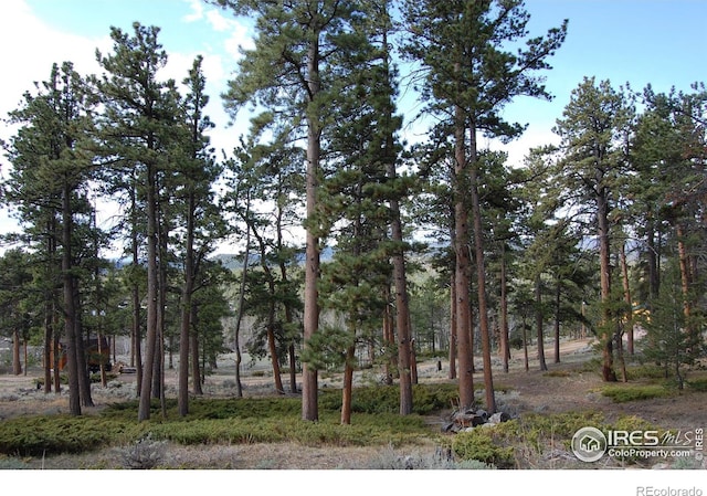 711 Osage Trl, Red Feather Lakes, CO 80545