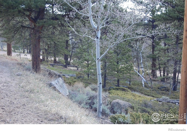 711 Osage Trl, Red Feather Lakes, CO 80545