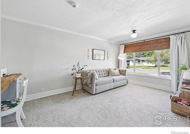 8290 Chase Way, Arvada, CO 80003 - living area with crown molding, baseboards, carpet flooring, and a textured ceiling