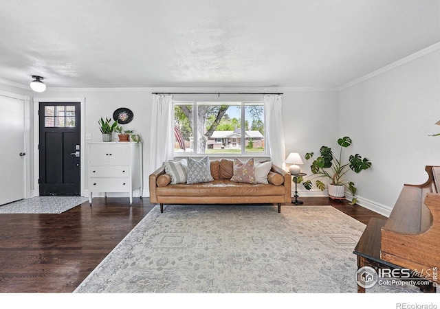 8290 Chase Way, Arvada, CO 80003 - living area featuring wood finished floors, baseboards, and ornamental molding