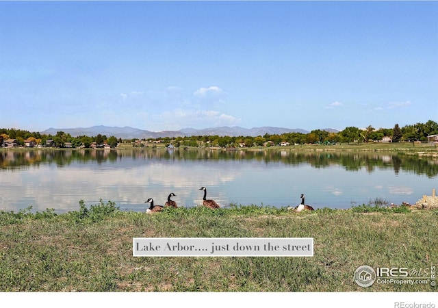 8290 Chase Way, Arvada, CO 80003 - water view featuring a mountain backdrop