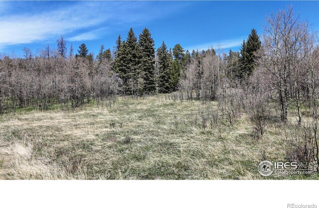 Galuchie Dr, Drake, CO 80515