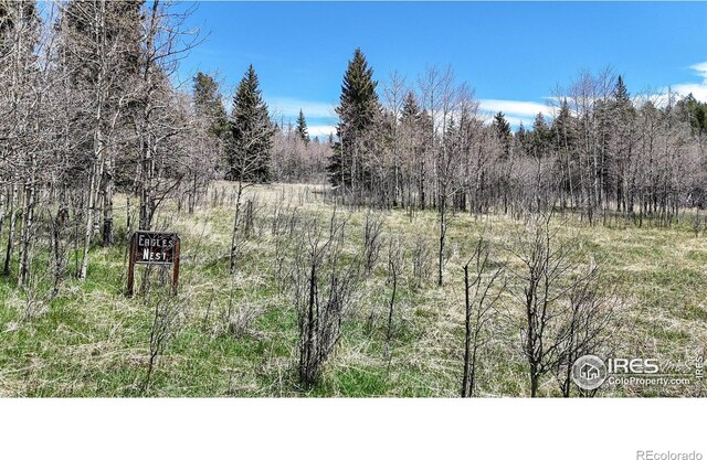 Galuchie Dr, Drake, CO 80515