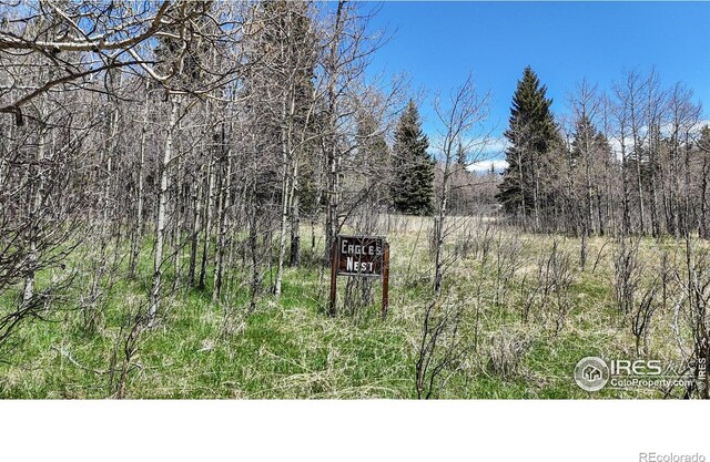 Galuchie Dr, Drake, CO 80515