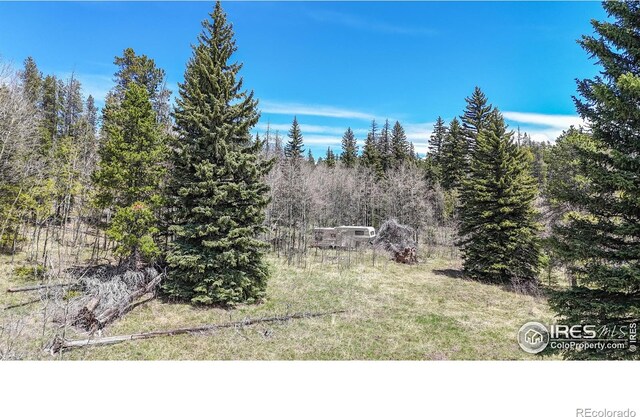 Galuchie Dr, Drake, CO 80515