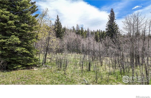 Galuchie Dr, Drake, CO 80515