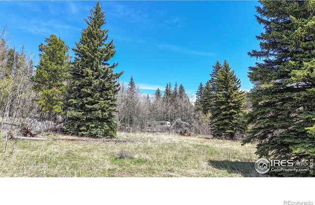 Galuchie Dr, Drake, CO 80515