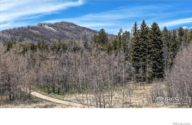 Galuchie Dr, Drake, CO 80515