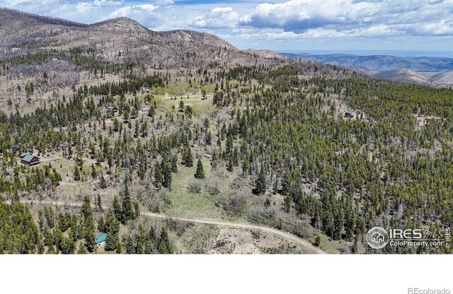 Galuchie Dr, Drake, CO 80515